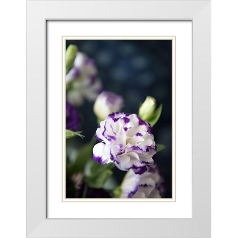 Purple Tipped Floral III White Modern Wood Framed Art Print with Double Matting by Millet, Karyn