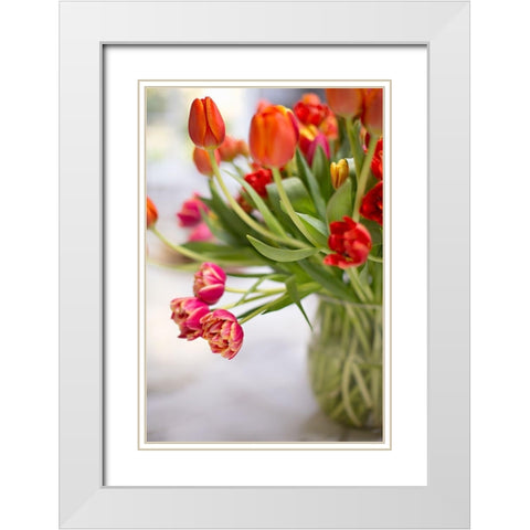 Blooming Tulips White Modern Wood Framed Art Print with Double Matting by Millet, Karyn