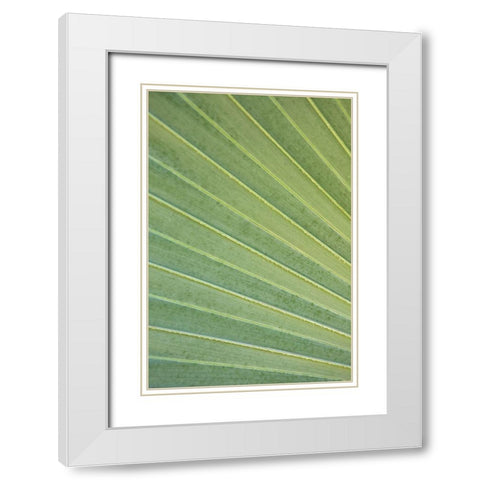Tropical Leaf Close-Up I White Modern Wood Framed Art Print with Double Matting by Millet, Karyn