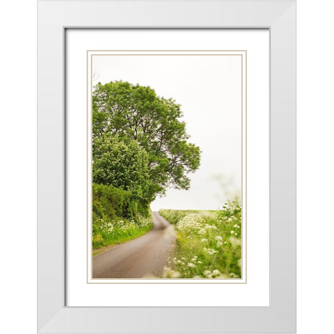 Winding Floral Lined Road White Modern Wood Framed Art Print with Double Matting by Millet, Karyn