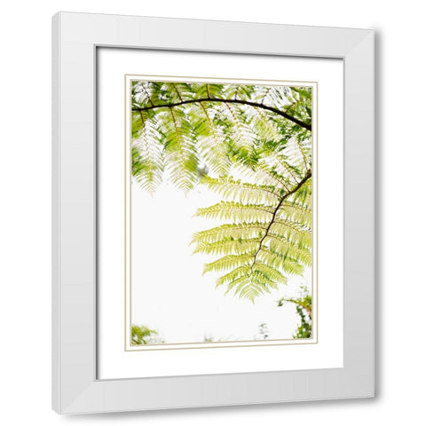 Sunlit Tropical Silhouette I White Modern Wood Framed Art Print with Double Matting by Millet, Karyn
