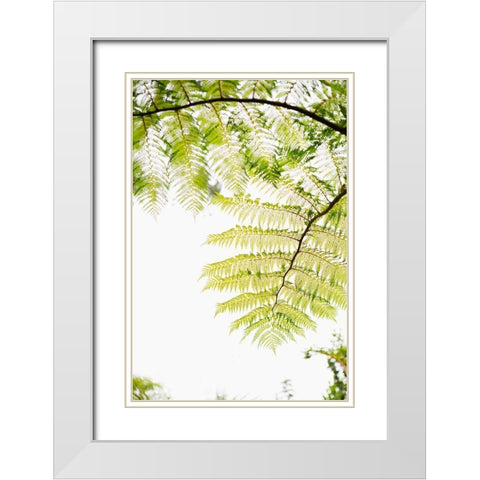 Sunlit Tropical Silhouette I White Modern Wood Framed Art Print with Double Matting by Millet, Karyn