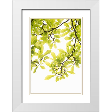 Sunlit Tropical Silhouette II White Modern Wood Framed Art Print with Double Matting by Millet, Karyn