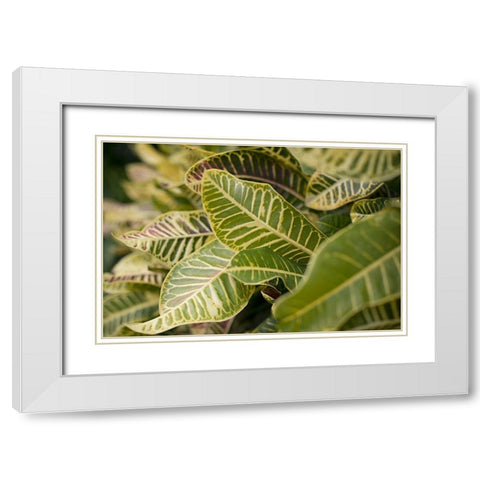 Leaf Scribble White Modern Wood Framed Art Print with Double Matting by Millet, Karyn