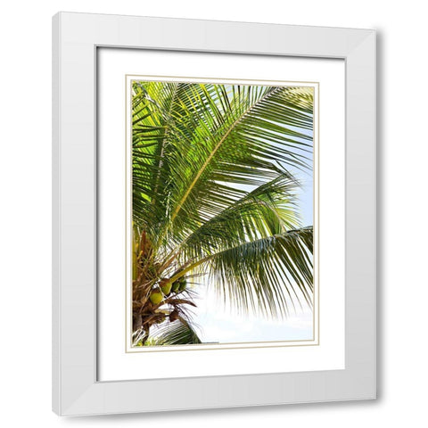 Tropical Coconut Tree White Modern Wood Framed Art Print with Double Matting by Millet, Karyn