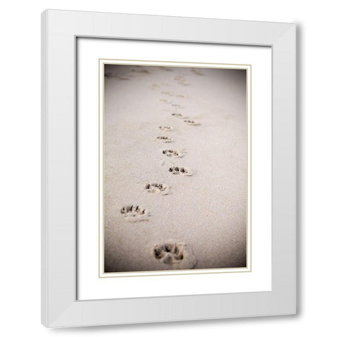 Paw Prints In Sand White Modern Wood Framed Art Print with Double Matting by Millet, Karyn