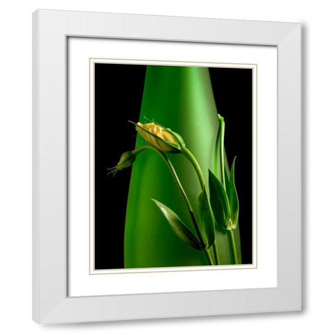 Soul Mates I White Modern Wood Framed Art Print with Double Matting by McNemar, C. Thomas