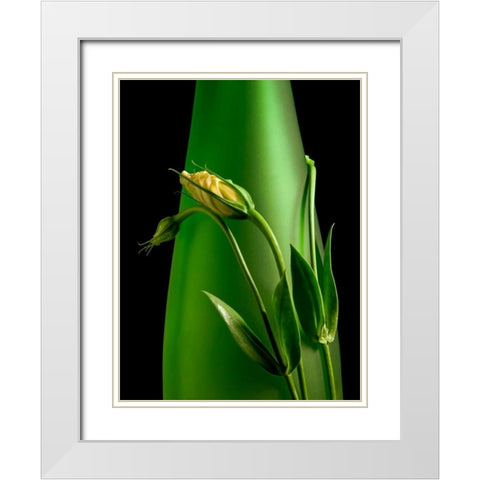 Soul Mates I White Modern Wood Framed Art Print with Double Matting by McNemar, C. Thomas