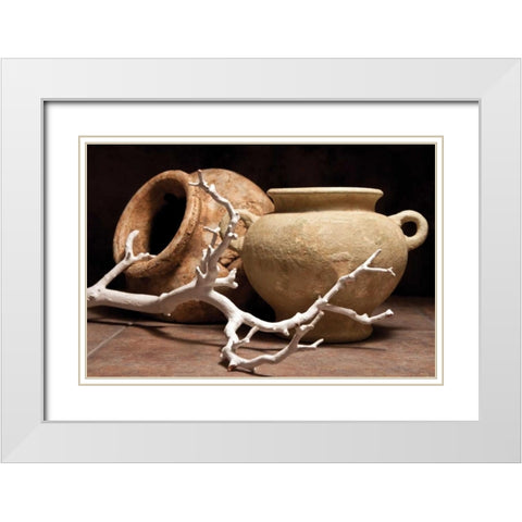 Pottery with Branch II White Modern Wood Framed Art Print with Double Matting by McNemar, C. Thomas