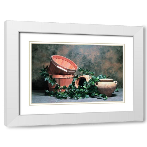 Pottery with Ivy II White Modern Wood Framed Art Print with Double Matting by McNemar, C. Thomas