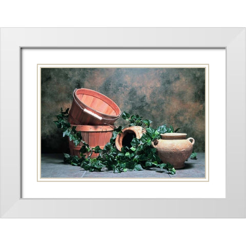 Pottery with Ivy II White Modern Wood Framed Art Print with Double Matting by McNemar, C. Thomas