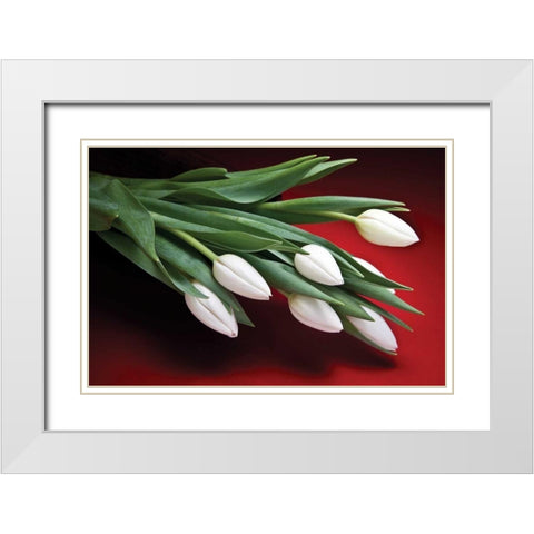 Tulips I White Modern Wood Framed Art Print with Double Matting by McNemar, C. Thomas