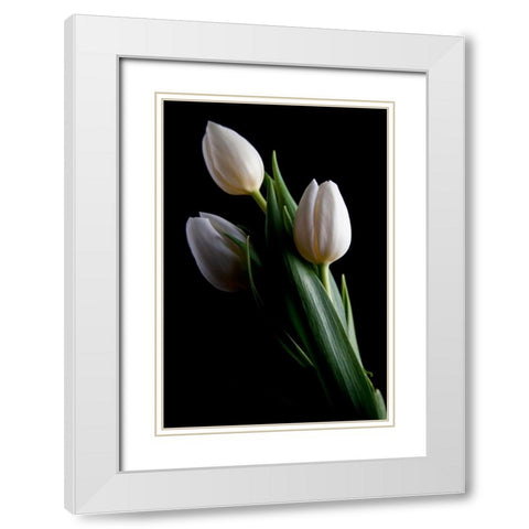Tulips IV White Modern Wood Framed Art Print with Double Matting by McNemar, C. Thomas