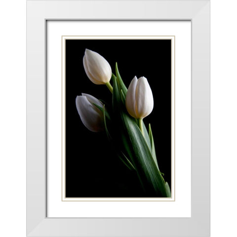 Tulips IV White Modern Wood Framed Art Print with Double Matting by McNemar, C. Thomas