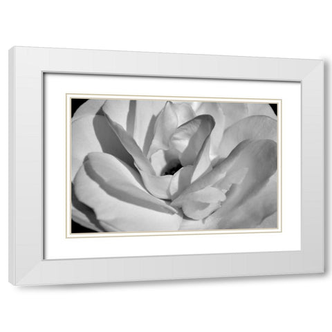 Macro Flower I White Modern Wood Framed Art Print with Double Matting by Moore, Brian