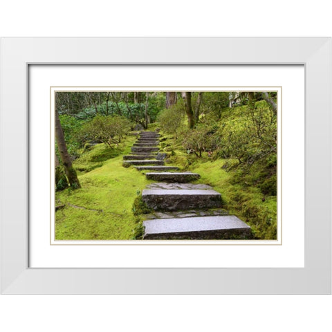 Steps II White Modern Wood Framed Art Print with Double Matting by Moore, Brian
