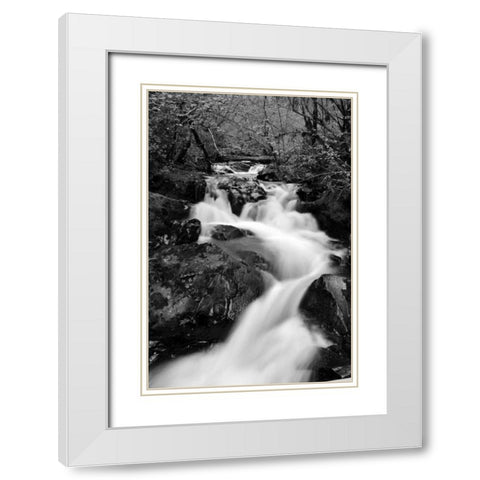 Waterfall II White Modern Wood Framed Art Print with Double Matting by Moore, Brian