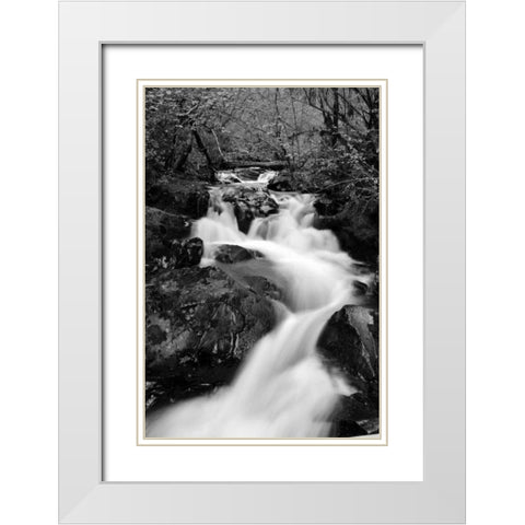 Waterfall II White Modern Wood Framed Art Print with Double Matting by Moore, Brian