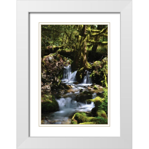 Falls in the Forest I White Modern Wood Framed Art Print with Double Matting by Moore, Brian