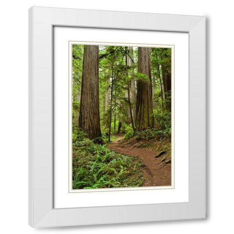 Hiking Trail I White Modern Wood Framed Art Print with Double Matting by Moore, Brian