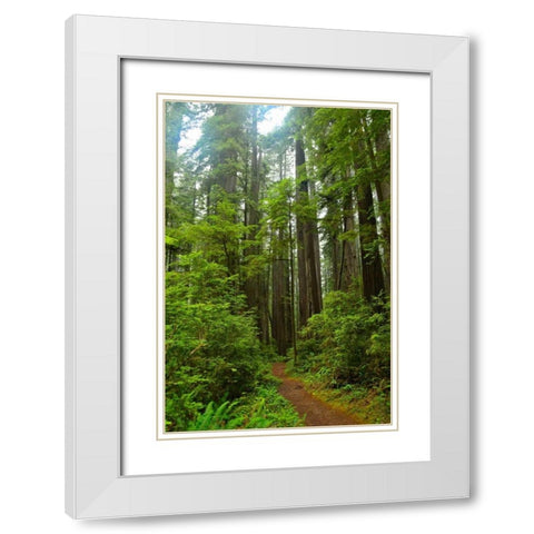 Hiking Trail II White Modern Wood Framed Art Print with Double Matting by Moore, Brian
