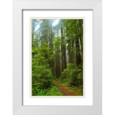 Hiking Trail II White Modern Wood Framed Art Print with Double Matting by Moore, Brian