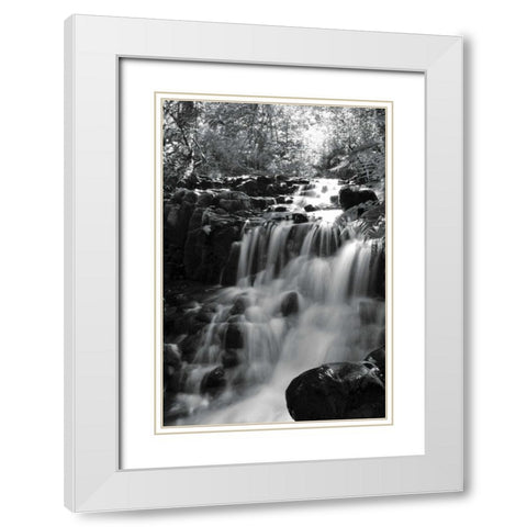 BW Falls in the Forest III White Modern Wood Framed Art Print with Double Matting by Moore, Brian