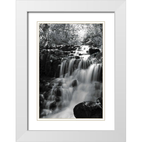 BW Falls in the Forest III White Modern Wood Framed Art Print with Double Matting by Moore, Brian
