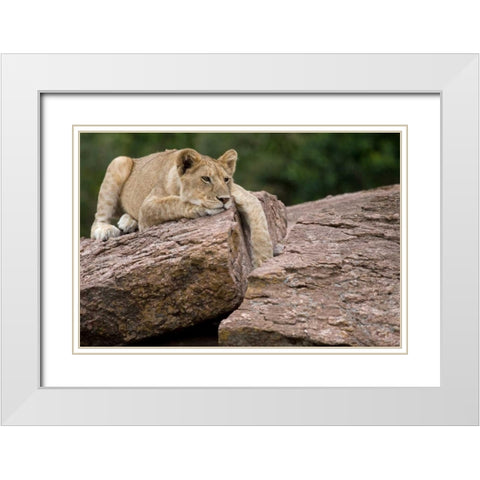 Lounging White Modern Wood Framed Art Print with Double Matting by Parker, Susann
