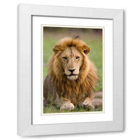 The King White Modern Wood Framed Art Print with Double Matting by Parker, Susann