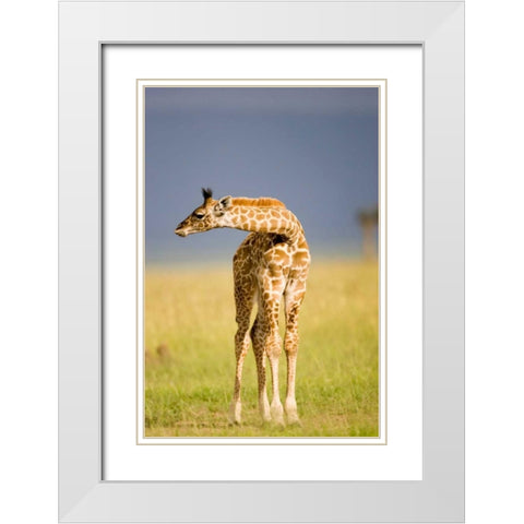 This Young One White Modern Wood Framed Art Print with Double Matting by Parker, Susann