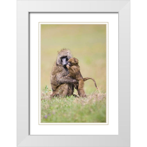 Papas Boy White Modern Wood Framed Art Print with Double Matting by Parker, Susann