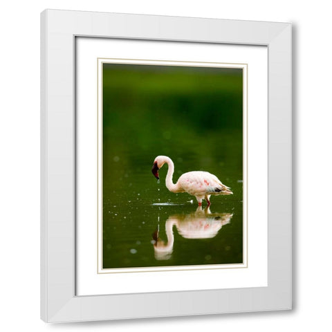 Pink Reflection White Modern Wood Framed Art Print with Double Matting by Parker, Susann