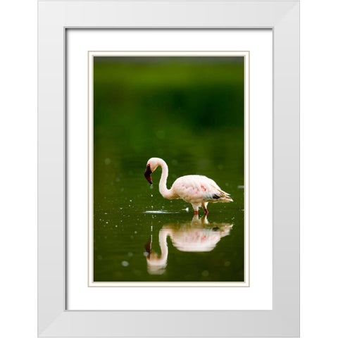 Pink Reflection White Modern Wood Framed Art Print with Double Matting by Parker, Susann