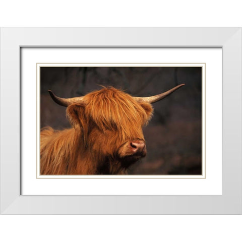 Symbolic of Scotland White Modern Wood Framed Art Print with Double Matting by Parker, Susann