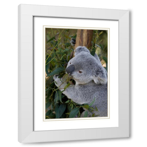 The Amiable White Modern Wood Framed Art Print with Double Matting by Parker, Susann