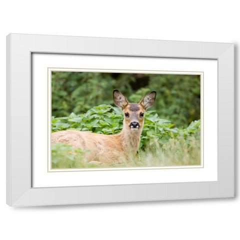 Auspicious White Modern Wood Framed Art Print with Double Matting by Parker, Susann