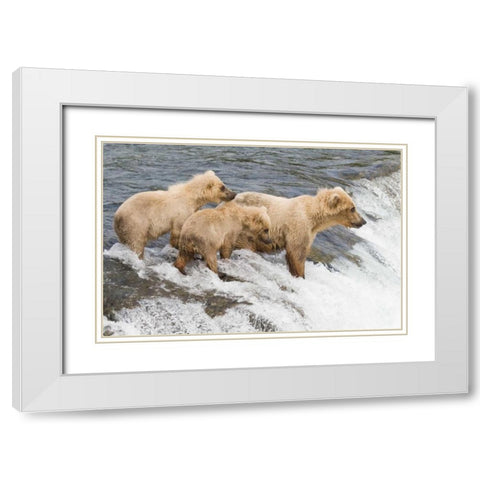 Day at the Falls White Modern Wood Framed Art Print with Double Matting by Parker, Susann