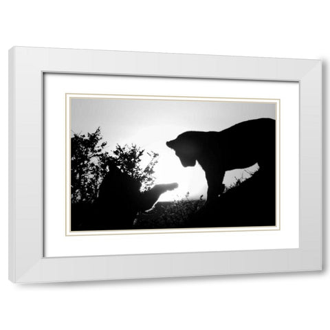 Lion Cub Morning White Modern Wood Framed Art Print with Double Matting by Parker, Susann