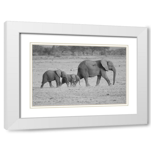 Memory Lane White Modern Wood Framed Art Print with Double Matting by Parker, Susann