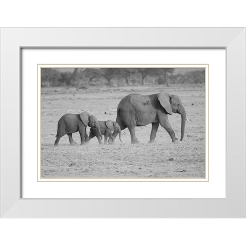 Memory Lane White Modern Wood Framed Art Print with Double Matting by Parker, Susann