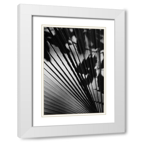 Shadow II White Modern Wood Framed Art Print with Double Matting by Peterson, Lee