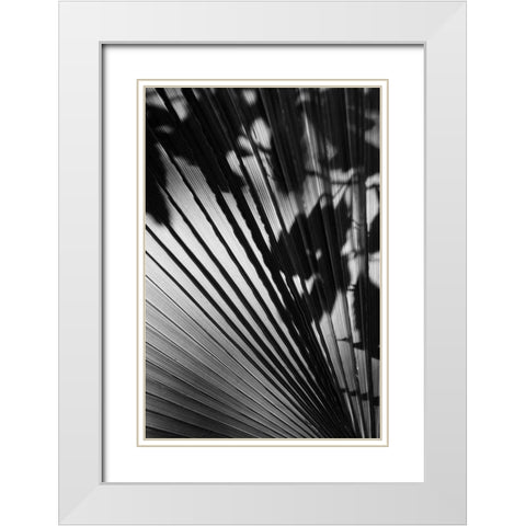 Shadow II White Modern Wood Framed Art Print with Double Matting by Peterson, Lee