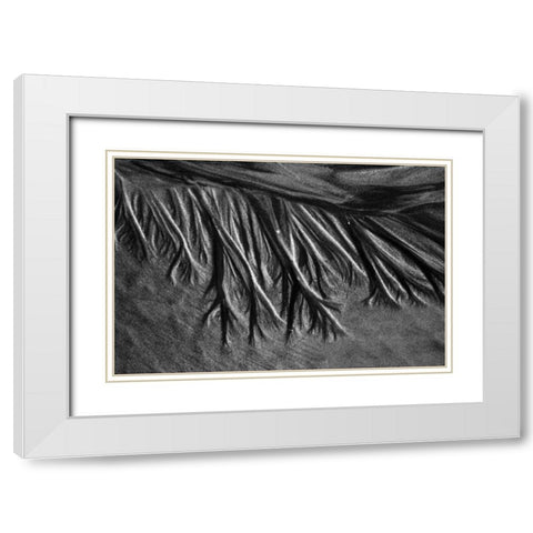 Texture Sand II White Modern Wood Framed Art Print with Double Matting by Peterson, Lee