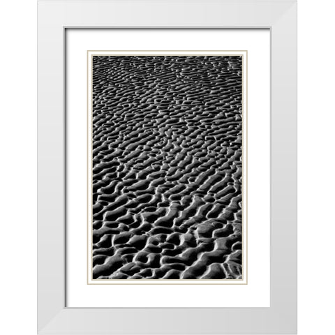 Texture Sand V White Modern Wood Framed Art Print with Double Matting by Peterson, Lee