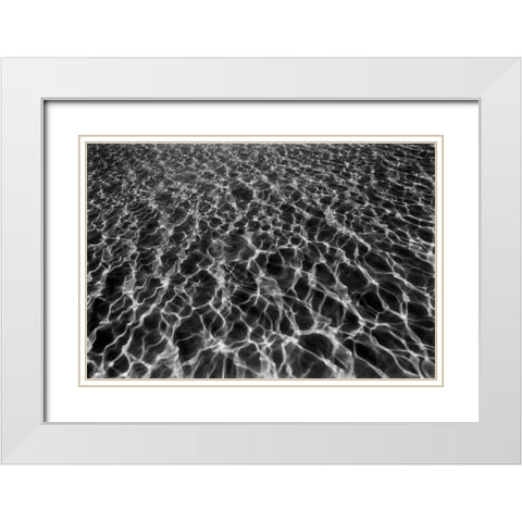 Underwater I White Modern Wood Framed Art Print with Double Matting by Peterson, Lee