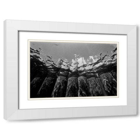 Pier Pilings I White Modern Wood Framed Art Print with Double Matting by Peterson, Lee