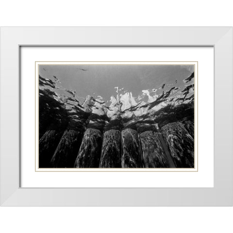 Pier Pilings I White Modern Wood Framed Art Print with Double Matting by Peterson, Lee