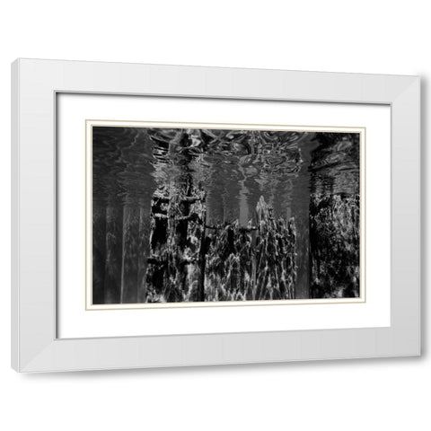 Pier Pilings II White Modern Wood Framed Art Print with Double Matting by Peterson, Lee