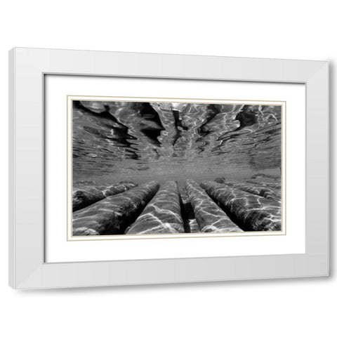 Pier Pilings III White Modern Wood Framed Art Print with Double Matting by Peterson, Lee